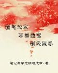 霸气公主,不回皇宫,到处惹事
