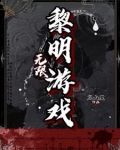 无限:黎明游戏小说
