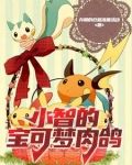 小智的宝可梦肉鸽 存粮的仓鼠准备过冬