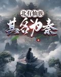 北有的小说