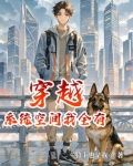 穿越带系统空间小说