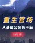 重生官场:从基层公务员干起李东沐