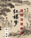 红楼梦 回
