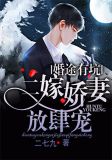 婚途有坑:二嫁娇妻放肆宠 二七九