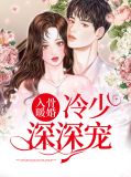 入骨暖婚：冷少深深宠沈琳落冷寒晟