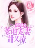 契约新婚：爹地宠妻甜又撩温斯言