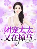团宠太太又在掉马黎米京廷
