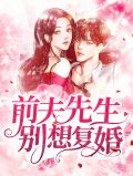 陆先生每天都想复婚