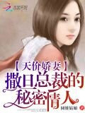 天价娇妻：**总裁的秘密情人