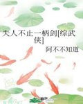 夫人不止一柄剑[综武侠]