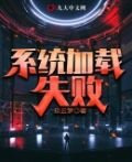 系统加载失败