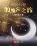 灰与幻想的魔法之旅