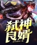 弑神良婿