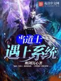当道士遇上系统