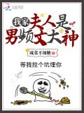 我家夫人是男频文大神