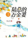 不爱不婚：陆总的万金妻