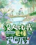 没人比我更懂宝可梦