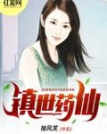镇世药仙