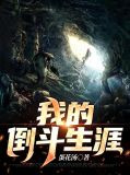 我的倒斗生涯胡跃进