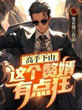 这个是高手
